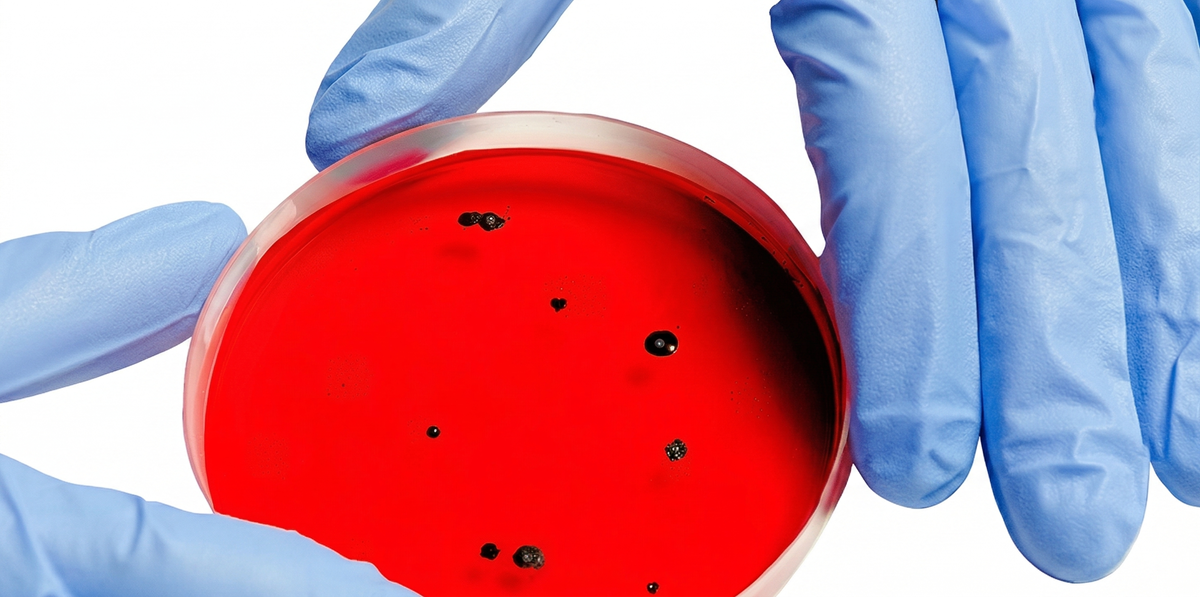 Tubos de ensayo farmacéuticos azules